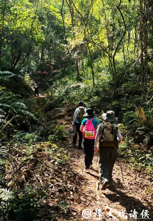 河源:绿美灵动的徒步之城丨探寻广东21城体育性格 河源:绿美灵动的徒步之城丨探寻广东21城体育性格